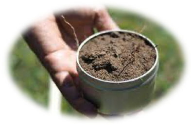 SOIL TEST