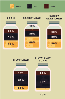 Soil Test