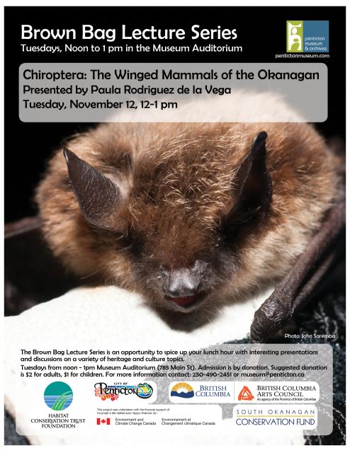 poster for bat presentation in penticton bc