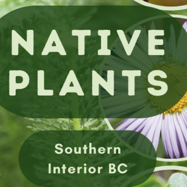 Gardening with Native Plants