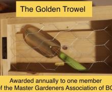 Golden Trowel